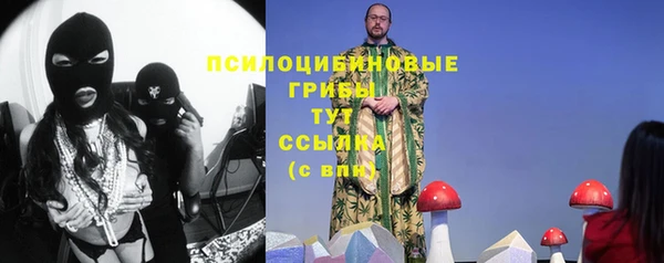 MDMA Бородино