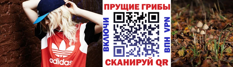 Галлюциногенные грибы мицелий  Махачкала 